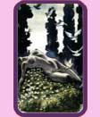tirada tarot gratuito erotico, tirada gratis tarot erotico